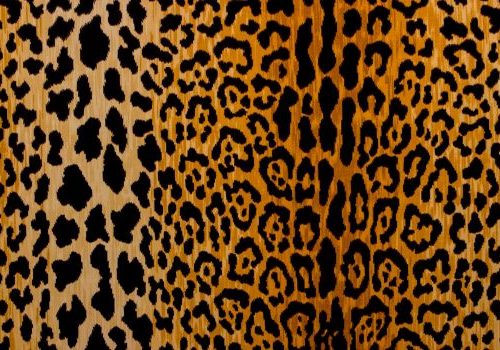 animal-print